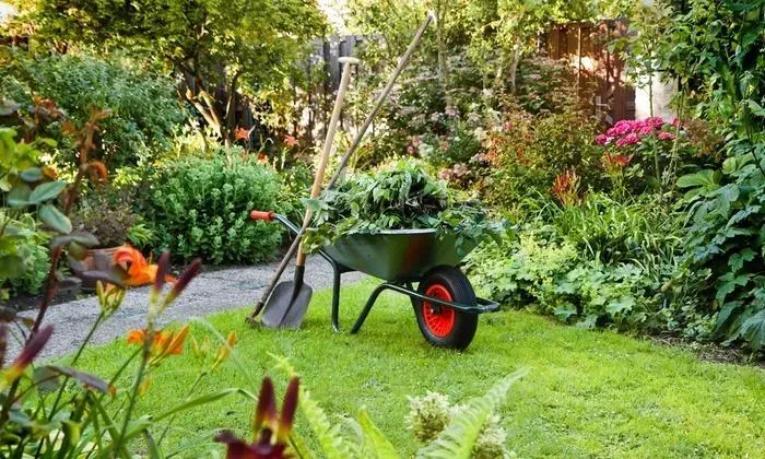 Heeft u een tuinier nodig?